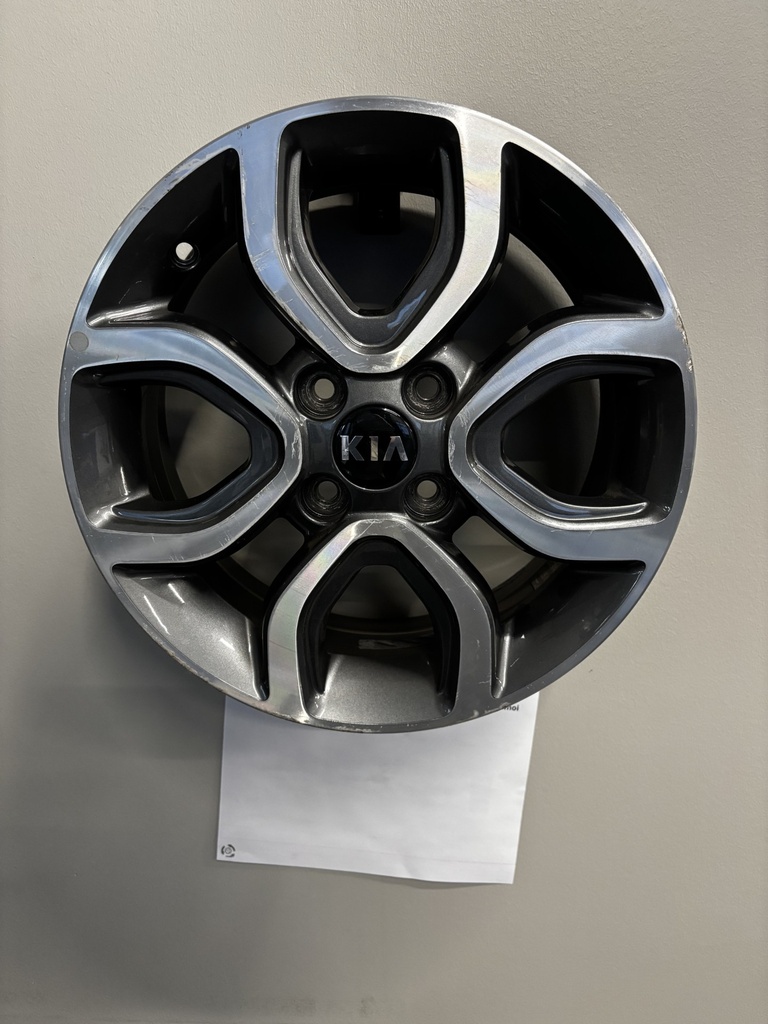 KIA 6X15" 4X100 ET51 KR54.1